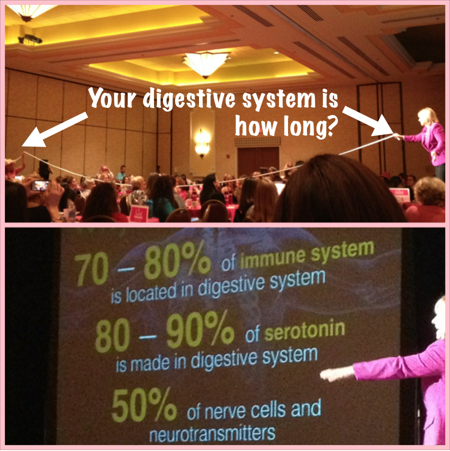 Digestive System Is How Long?